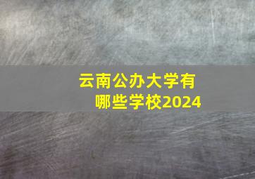 云南公办大学有哪些学校2024