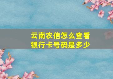 云南农信怎么查看银行卡号码是多少