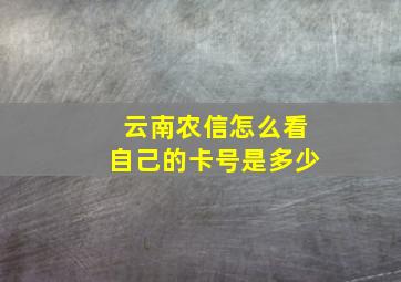 云南农信怎么看自己的卡号是多少