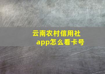 云南农村信用社app怎么看卡号