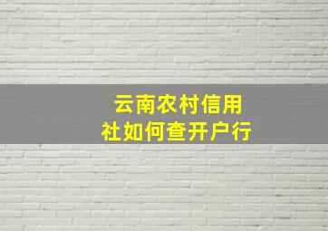 云南农村信用社如何查开户行