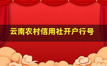 云南农村信用社开户行号