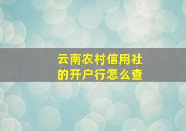 云南农村信用社的开户行怎么查