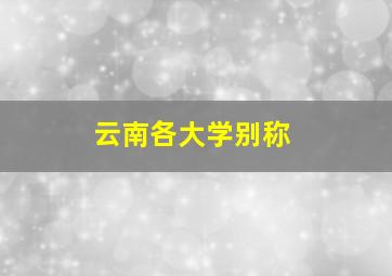 云南各大学别称