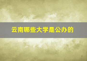 云南哪些大学是公办的