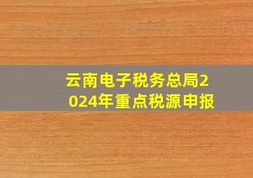 云南电子税务总局2024年重点税源申报