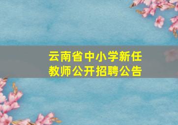 云南省中小学新任教师公开招聘公告