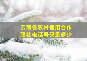 云南省农村信用合作联社电话号码是多少