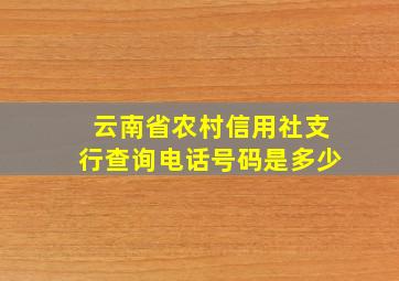 云南省农村信用社支行查询电话号码是多少