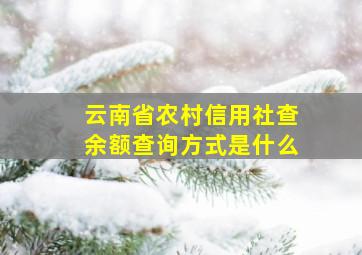 云南省农村信用社查余额查询方式是什么