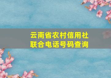 云南省农村信用社联合电话号码查询