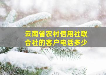 云南省农村信用社联合社的客户电话多少