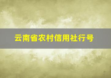 云南省农村信用社行号