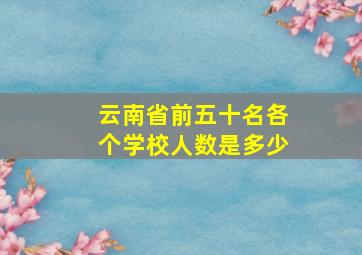 云南省前五十名各个学校人数是多少