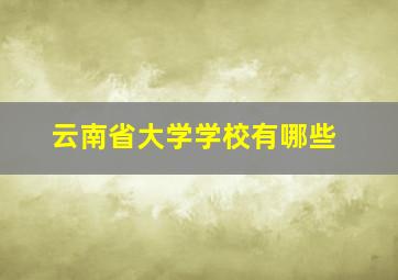 云南省大学学校有哪些