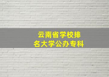 云南省学校排名大学公办专科