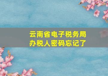 云南省电子税务局办税人密码忘记了