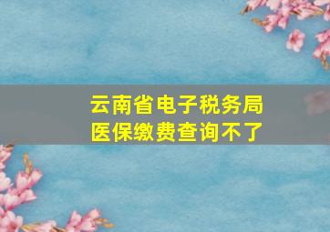 云南省电子税务局医保缴费查询不了