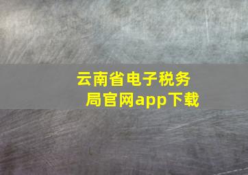 云南省电子税务局官网app下载