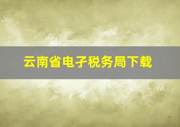 云南省电孑税务局下载