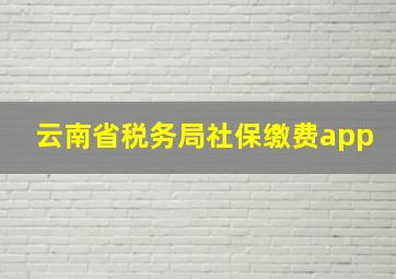 云南省税务局社保缴费app