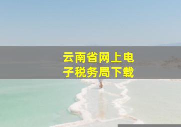 云南省网上电子税务局下载