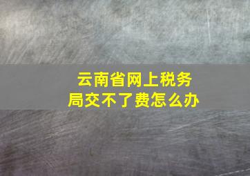 云南省网上税务局交不了费怎么办