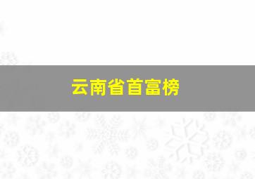 云南省首富榜