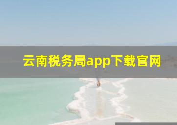 云南税务局app下载官网