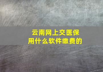 云南网上交医保用什么软件缴费的