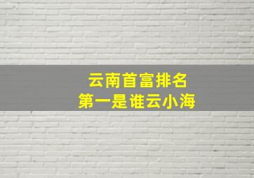 云南首富排名第一是谁云小海