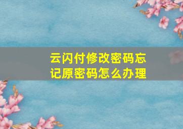 云闪付修改密码忘记原密码怎么办理