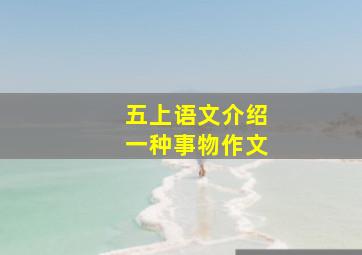 五上语文介绍一种事物作文