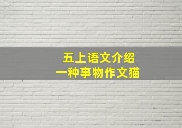 五上语文介绍一种事物作文猫