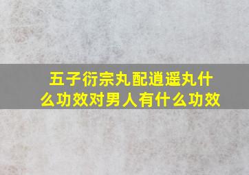 五子衍宗丸配逍遥丸什么功效对男人有什么功效