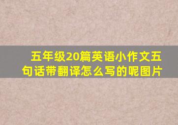 五年级20篇英语小作文五句话带翻译怎么写的呢图片