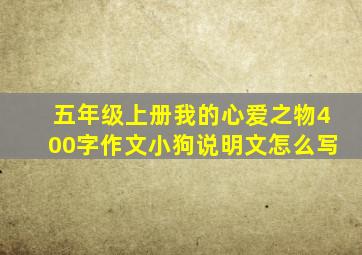 五年级上册我的心爱之物400字作文小狗说明文怎么写