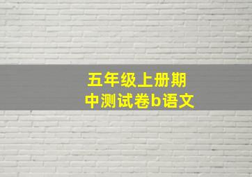 五年级上册期中测试卷b语文