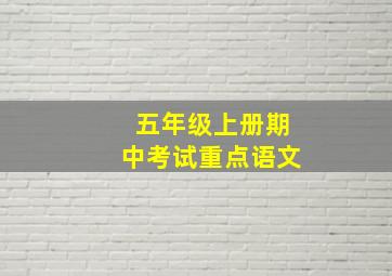 五年级上册期中考试重点语文