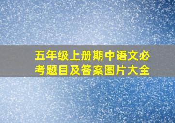 五年级上册期中语文必考题目及答案图片大全