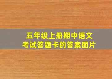 五年级上册期中语文考试答题卡的答案图片