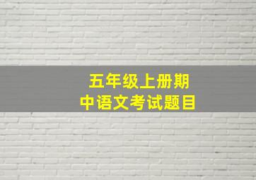 五年级上册期中语文考试题目