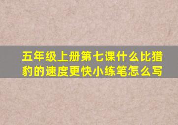 五年级上册第七课什么比猎豹的速度更快小练笔怎么写