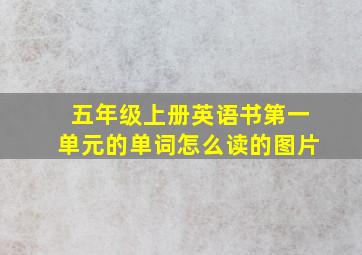 五年级上册英语书第一单元的单词怎么读的图片