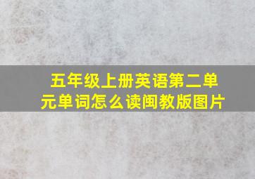 五年级上册英语第二单元单词怎么读闽教版图片