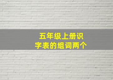 五年级上册识字表的组词两个