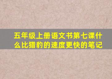 五年级上册语文书第七课什么比猎豹的速度更快的笔记