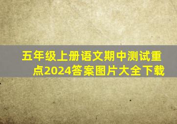 五年级上册语文期中测试重点2024答案图片大全下载