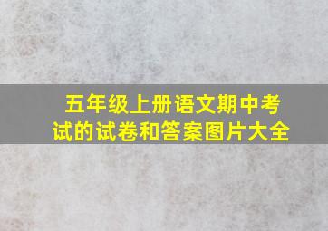 五年级上册语文期中考试的试卷和答案图片大全