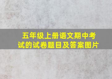 五年级上册语文期中考试的试卷题目及答案图片